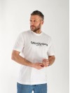 Чоловіча футболка з написом білого кольору 33367