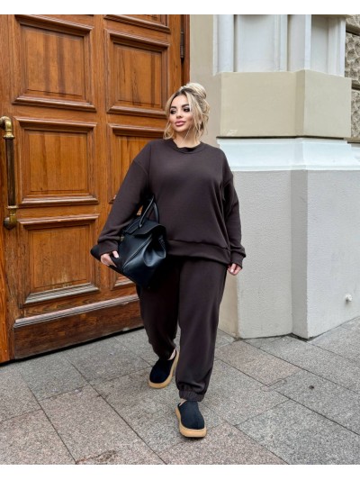 Жіночий спортивний костюм коричневого кольору 34493